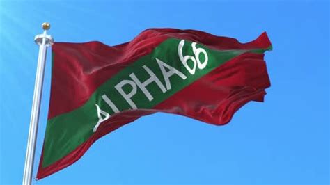 Flag Of Alpha 66 By Manumata On Envato Elements