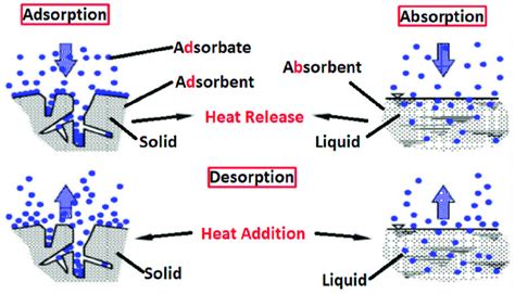 A comparison between absorption and adsorption [81]. | Download ... 