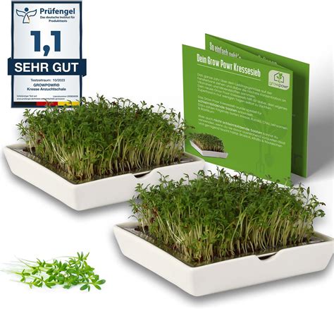 Green Seeds Das Original Sprossenglas Starter Set Kressesieb X