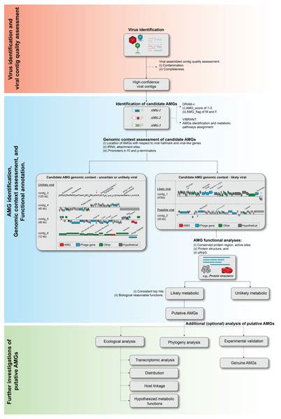 Expanding Standards In Viromics In Silico Evaluation Of Dsdna Viral