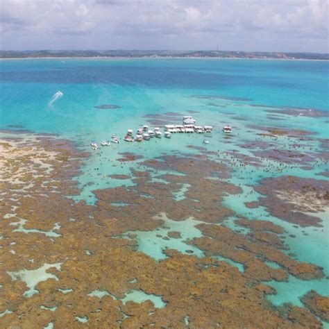 Piscinas naturais de Maragogi dicas fotos e melhor época para visitar