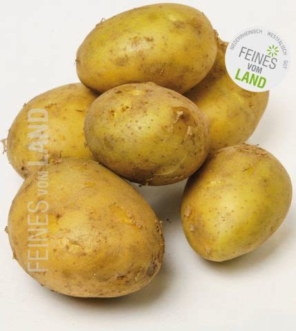 Bio Kartoffeln 2kg Feines Vom Land Online Shop