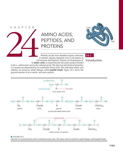 PDF Chapter 24 Amino Acids Peptides And Proteins Pearson