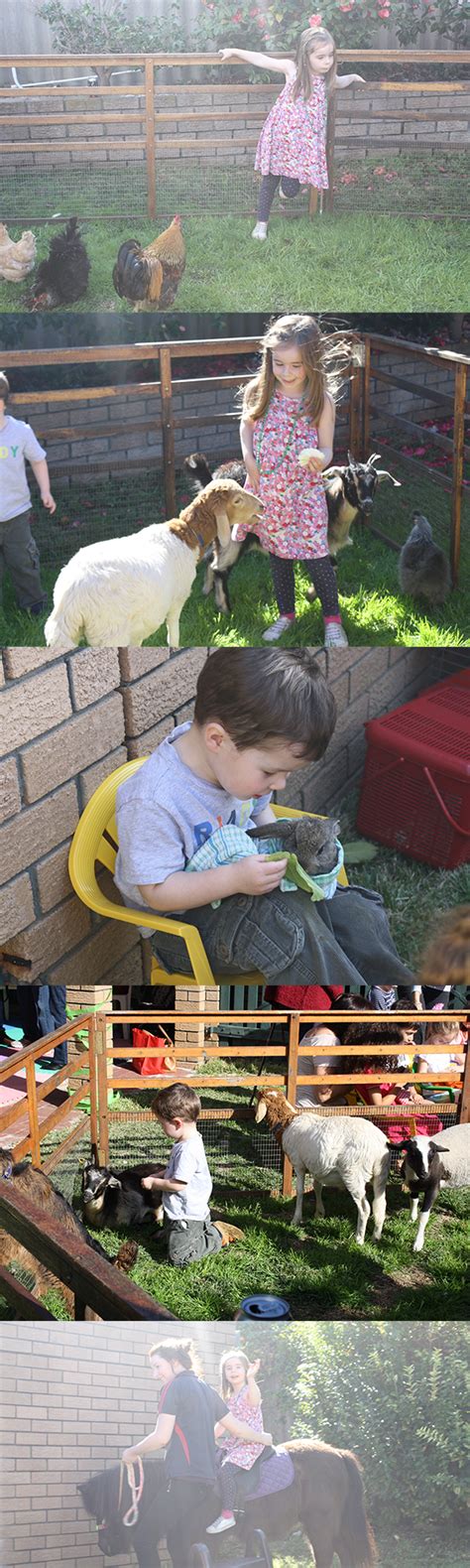 Petting Zoo Birthday Party Megan Nielsen Patterns Blog