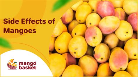 Side Effects Of Mangoes Mango Basket