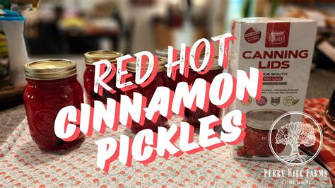 Homemade Cinnamon Red Hot Pickles YouTube
