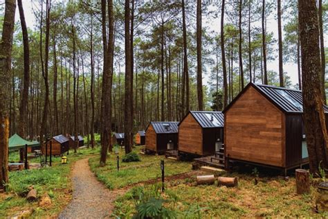 Serunya Menginap Di Bobocabin Cikole Hotel Yang Menyatu Dengan Alam