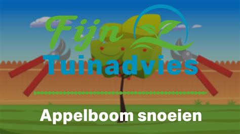 Hoe Snoei Je Een Appelboom YouTube