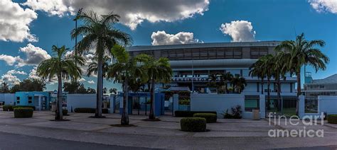 Oval Cricket ground in Bridgetown, Barbados Photograph by Nicola Pulham ...