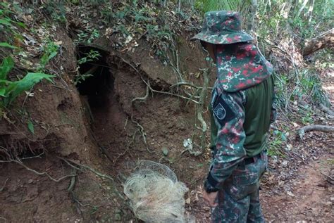 Título Polícia Militar Ambiental intensifica fiscalização nos rios da