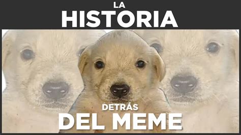 Te Quiero Mucho Perrito La Historia Detras Del Meme Otosection