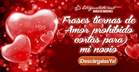 Imagenes De Amor Tiernas Para Mi Novio Frases Para Dedicar A Tu Novio