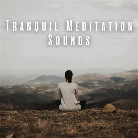 Tranquil Meditation Sounds Album By Morning Calm Playlist Spotify