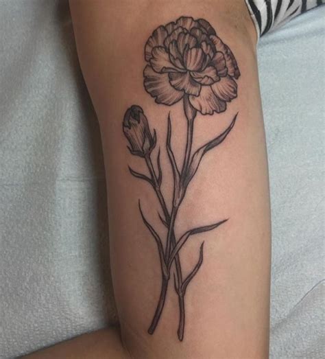 Carnation Tattoo Rachel Hauer Nelke Tattoo Geburt Blume