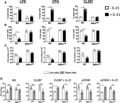 Frontiers Impaired B Cell Apoptosis Results In Autoimmunity That Is