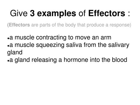 PPT - Neuron & Nervous System PowerPoint Presentation, free download