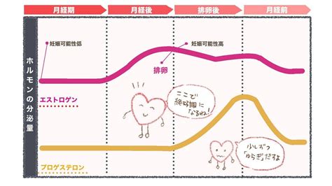 医師が解説！女性の人生を左右する「女性ホルモン」の正体とうまく付き合う3つのヒント ヨガジャーナルオンライン