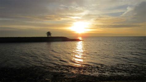 Kats Door Geeske Harkema Kats Zonsopkomst Aan De Oostersc Flickr