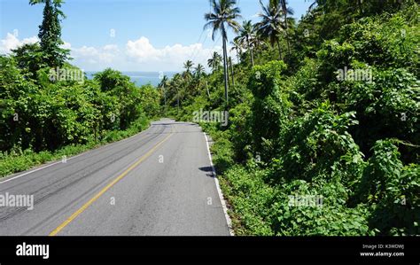 Main Street Through Green Tropical Plants On Samana Stock Photo Alamy