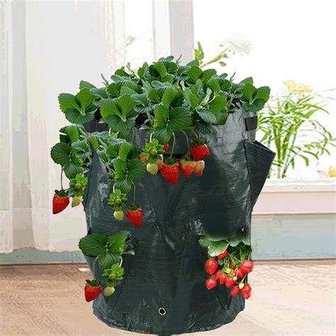 Jardinière Sac de plantation de fraises suspendu sacs de culture