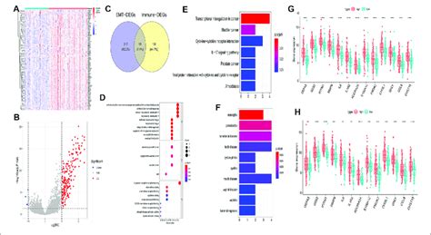 Identification Of Emt And Immune Related Genes And Functional