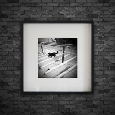 Black Cat Print Black Cat Photography Perugia Photography - Etsy