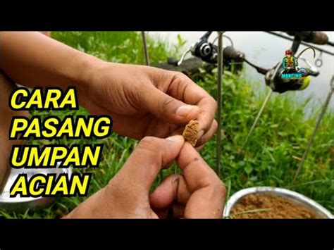 Tutorial Membuat Umpan Acian Sejuta Umat Ikan Patin Kolam Harian 70