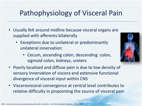 Ppt Pathophysiology Of Visceral Pain Powerpoint Presentation Free