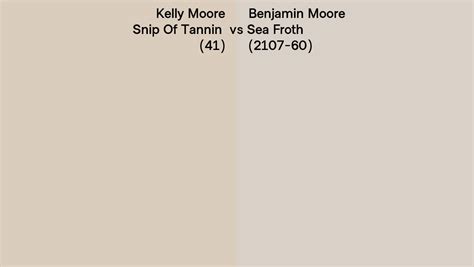 Kelly Moore Snip Of Tannin 41 Vs Benjamin Moore Sea Froth 2107 60