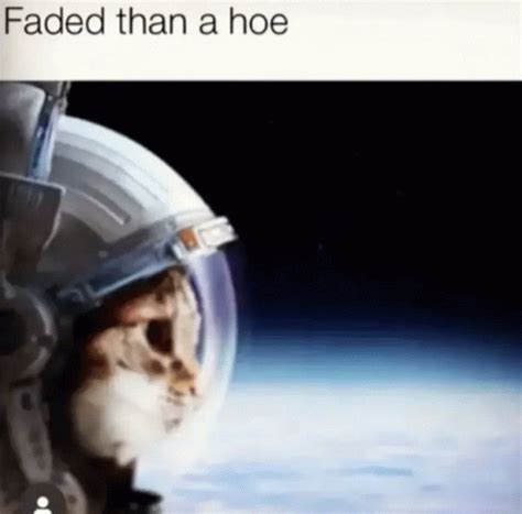 Cat Astronaut Meme - Cat Astronaut - Discover & Share GIFs