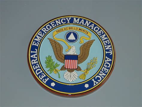 Federal Emergency Management Agency FEMA Seal Hand Carved and - Etsy