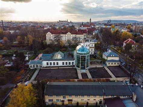 Kraków Nowa szklarnia dla unikatowej palmy w Ogrodzie Botanicznym UJ