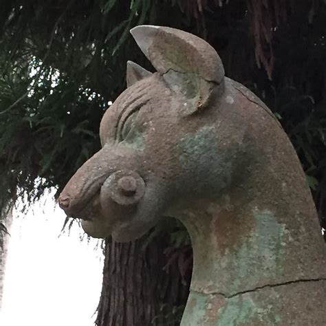 Profile of Inari fox statue in front of shrine #kyoto #inari # ...