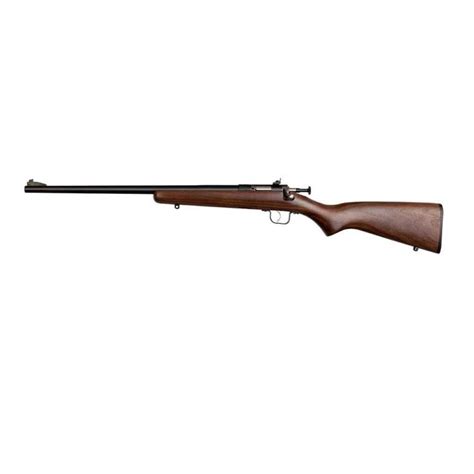 Crickett® Rifle Black Synthetic My First Rifle” Ss Keystone