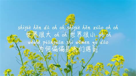 【微风悄悄 不是花火呀】wei Feng Qiao Qiao Bu Shi Hua Huo Ya Tiktok 抖音 틱톡 Pinyin Lyrics 拼音歌词 병음가사 No Ad 无