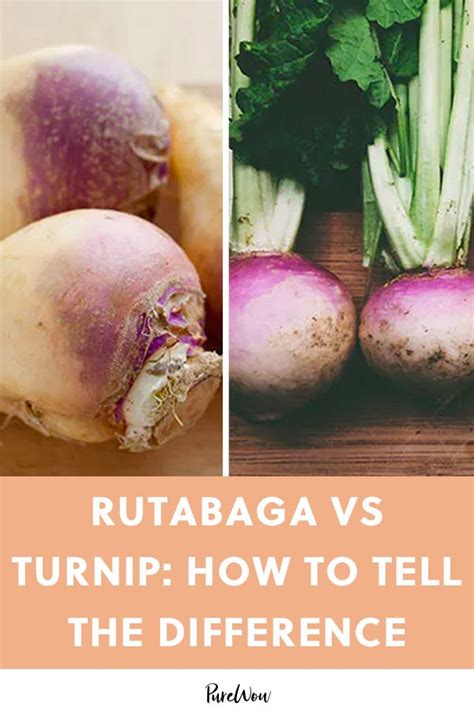 Rutabaga Vs Turnip How To Tell The Difference Between These Yummy Vegetables Rutabaga