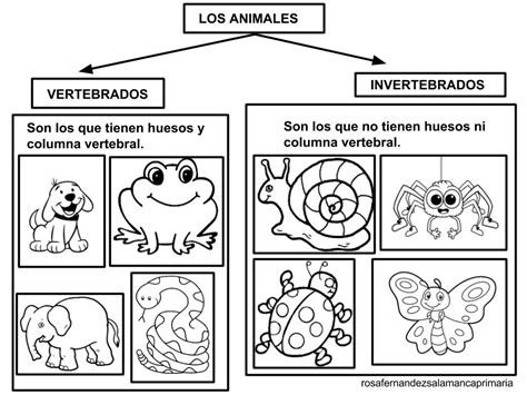 Maestra De Primaria Animales Vertebrados E Invertebrados