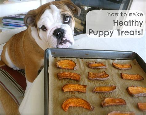 Puppies LOVE Real Food too! - The Nourishing Home