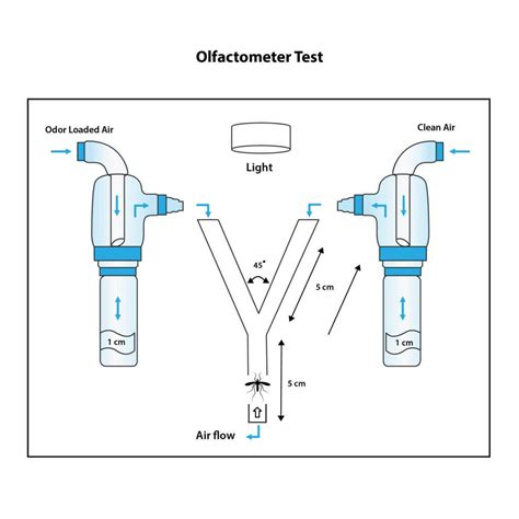 Y-Tube Olfactometer Mosquito Repellent Testing Services