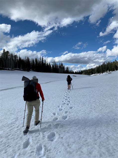 PCT Southbound Gear List Strategy Treeline Review