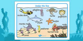 Under The Sea Scene Word Mat Teacher Made