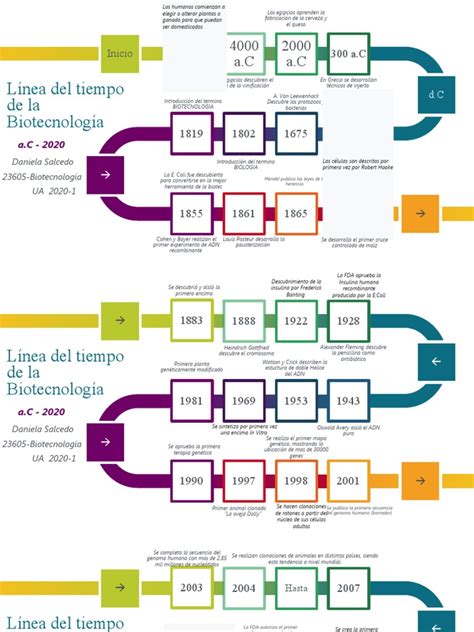 Línea Del Tiempo De La Biotecnología Pdf Ingeniería Genética Genética