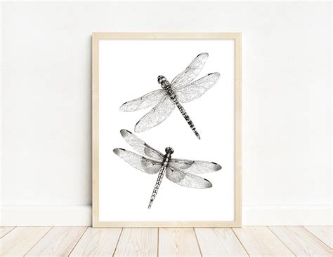 Dragonfly Sketch Insects Black And White Print Two Etsy