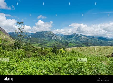 Scenic View Over Eravikulam National Park In Kerala South India On