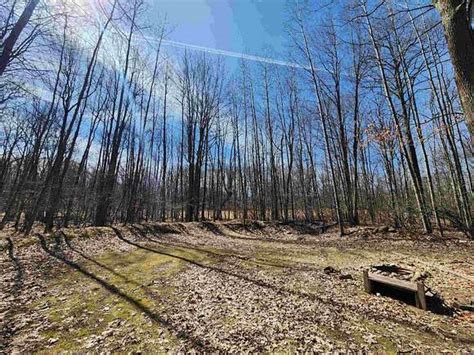 Farwell Mi Land For Sale 50 Properties Landsearch