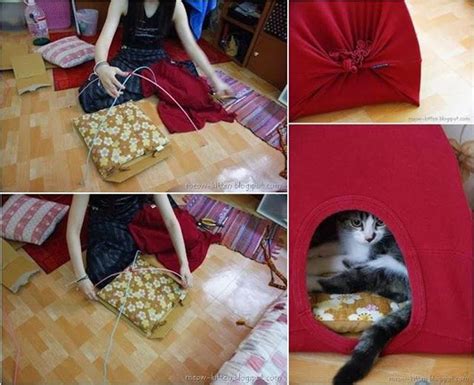 Creative Ideas Diy Easy Cat Tent From Old T Shirts