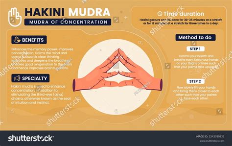 Exploring Benefits Characteristics Working Hakini Mudravector Stock