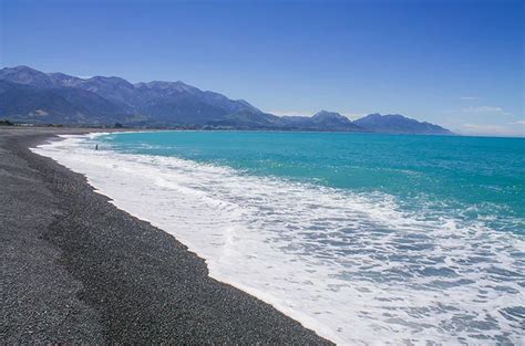 Where Are the Best Beaches in Kaikoura? - See the South Island NZ ...