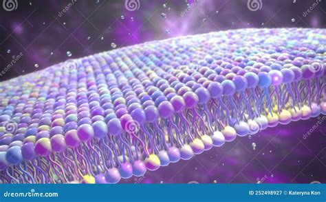 Cell Membrane 3d Illustration Stock Illustration Illustration Of