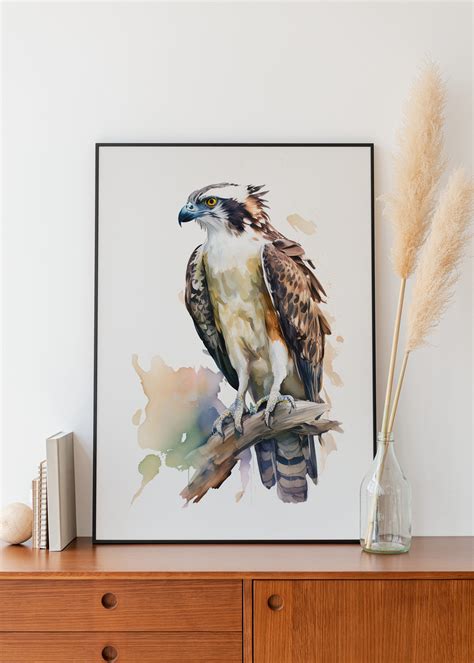 Osprey Watercolor Wall Decor Watercolor Osprey Wall Art Airbnb Bird